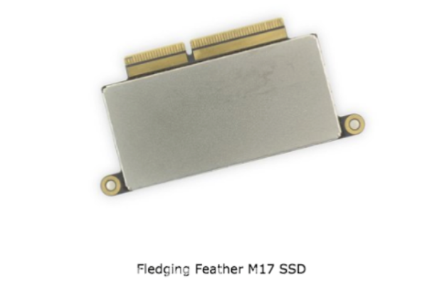 Fledging Feather M17 SSD